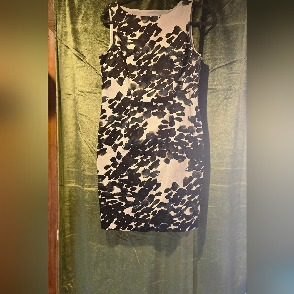 Dress double zip! Ann Taylor Petite 6P Kin